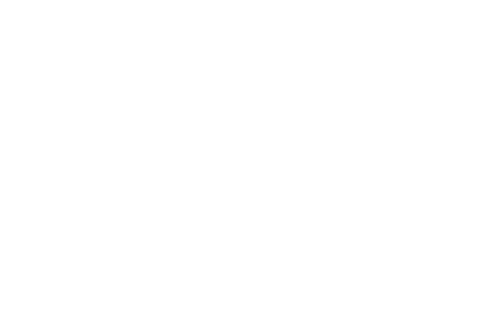 Saadin Dassum logo
